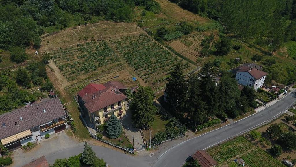 B&B Cantine Pietronero Orsara Bormida Buitenkant foto